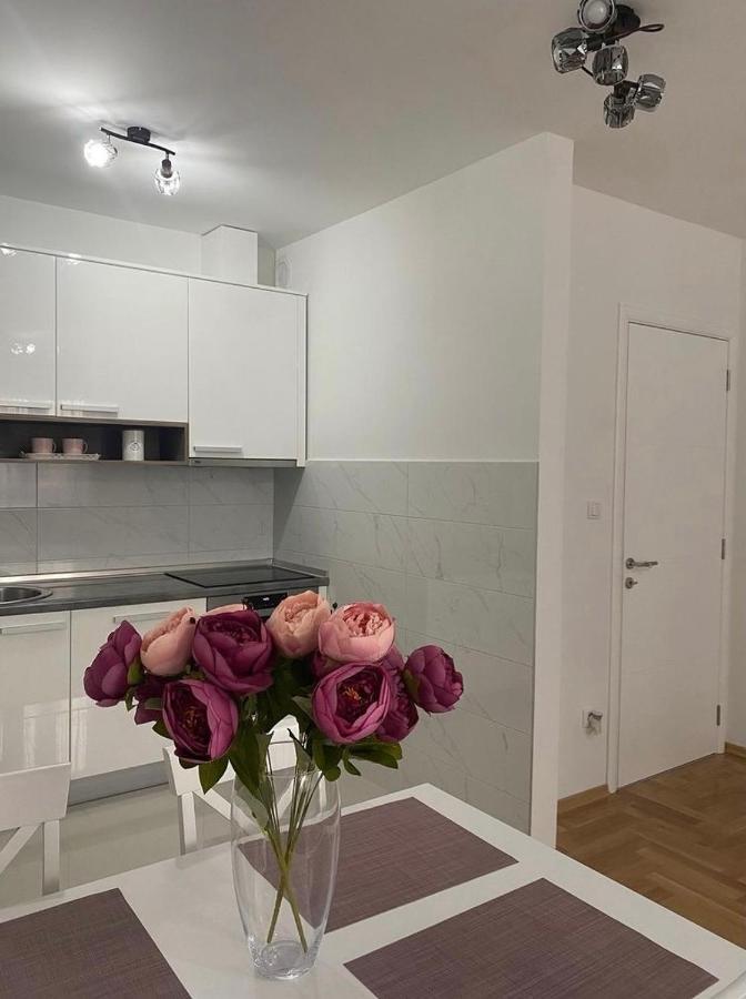 Iskra Apartment Banja Luka Bagian luar foto